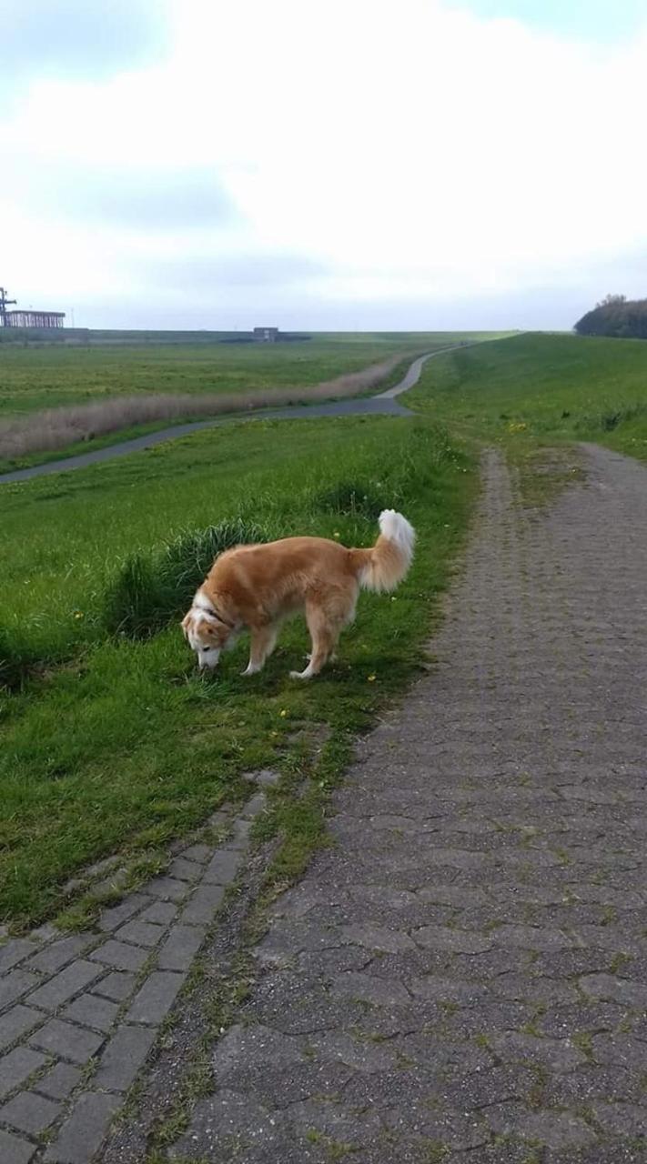 Kroker * Bremerhaven